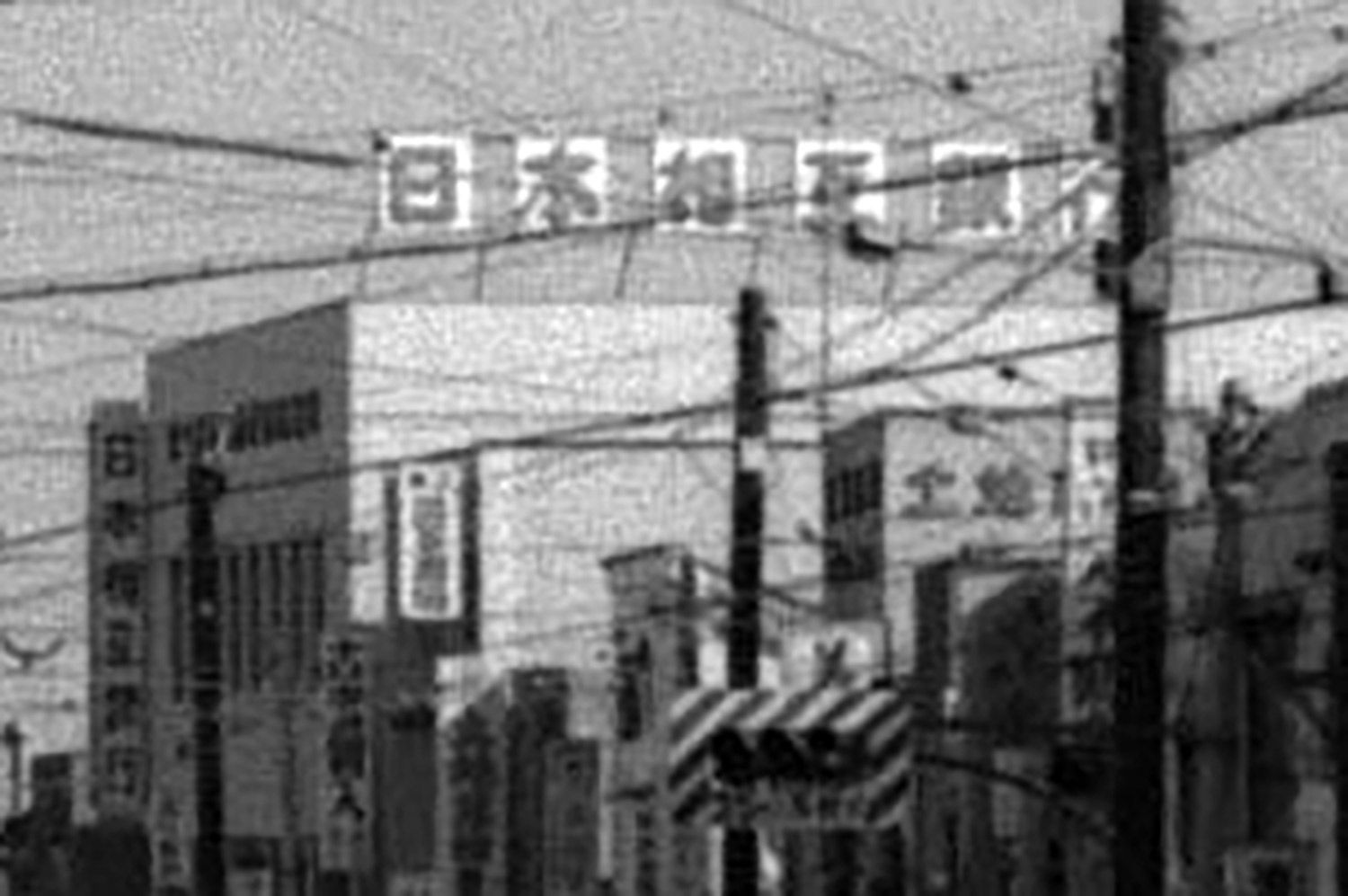 005.jpg