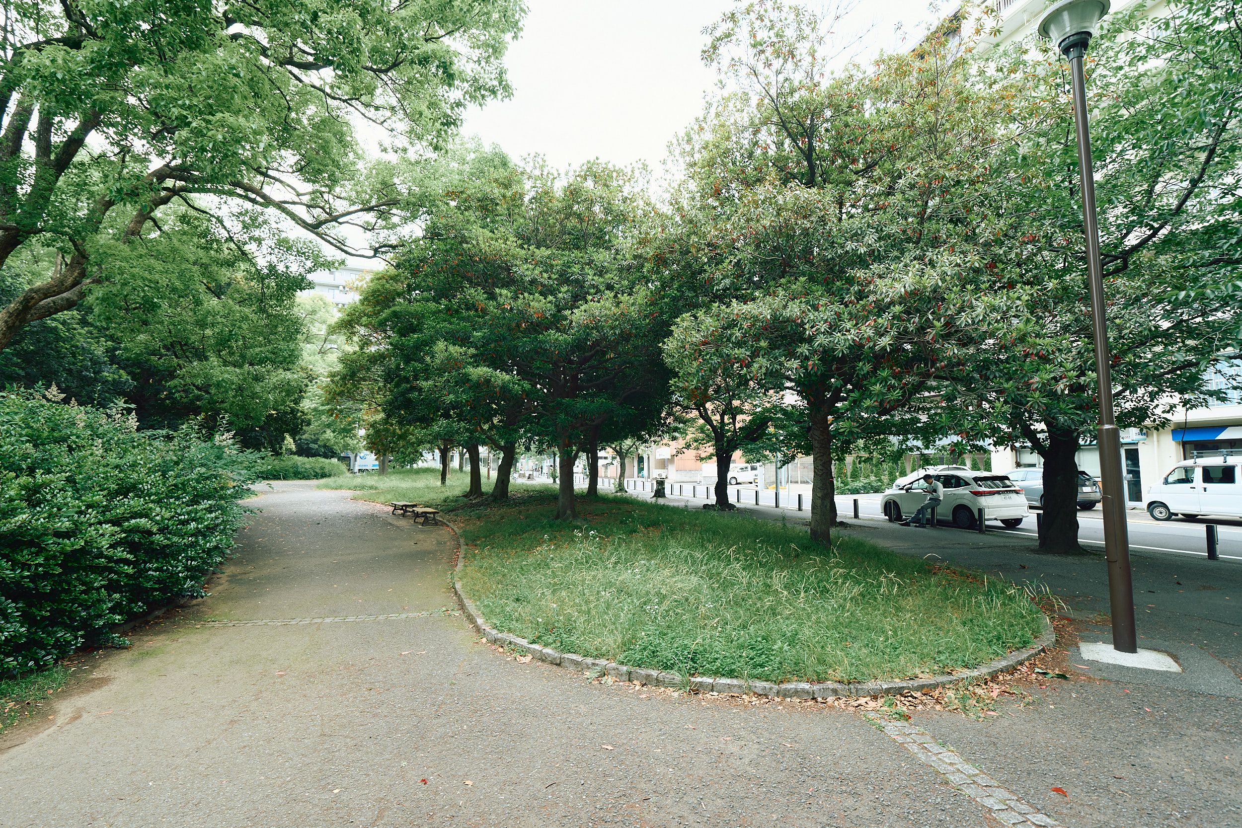 05.jpg
