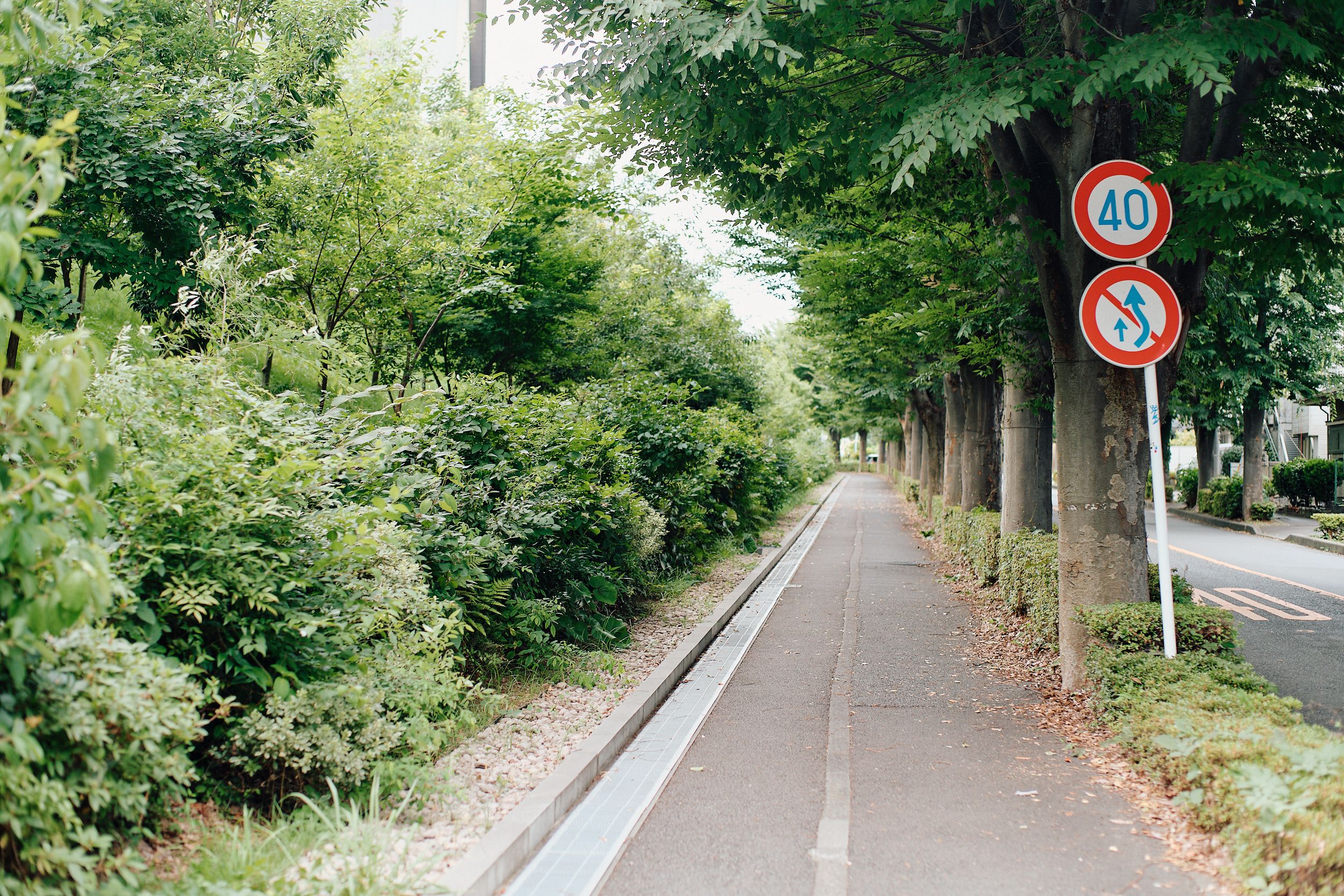 05.jpg