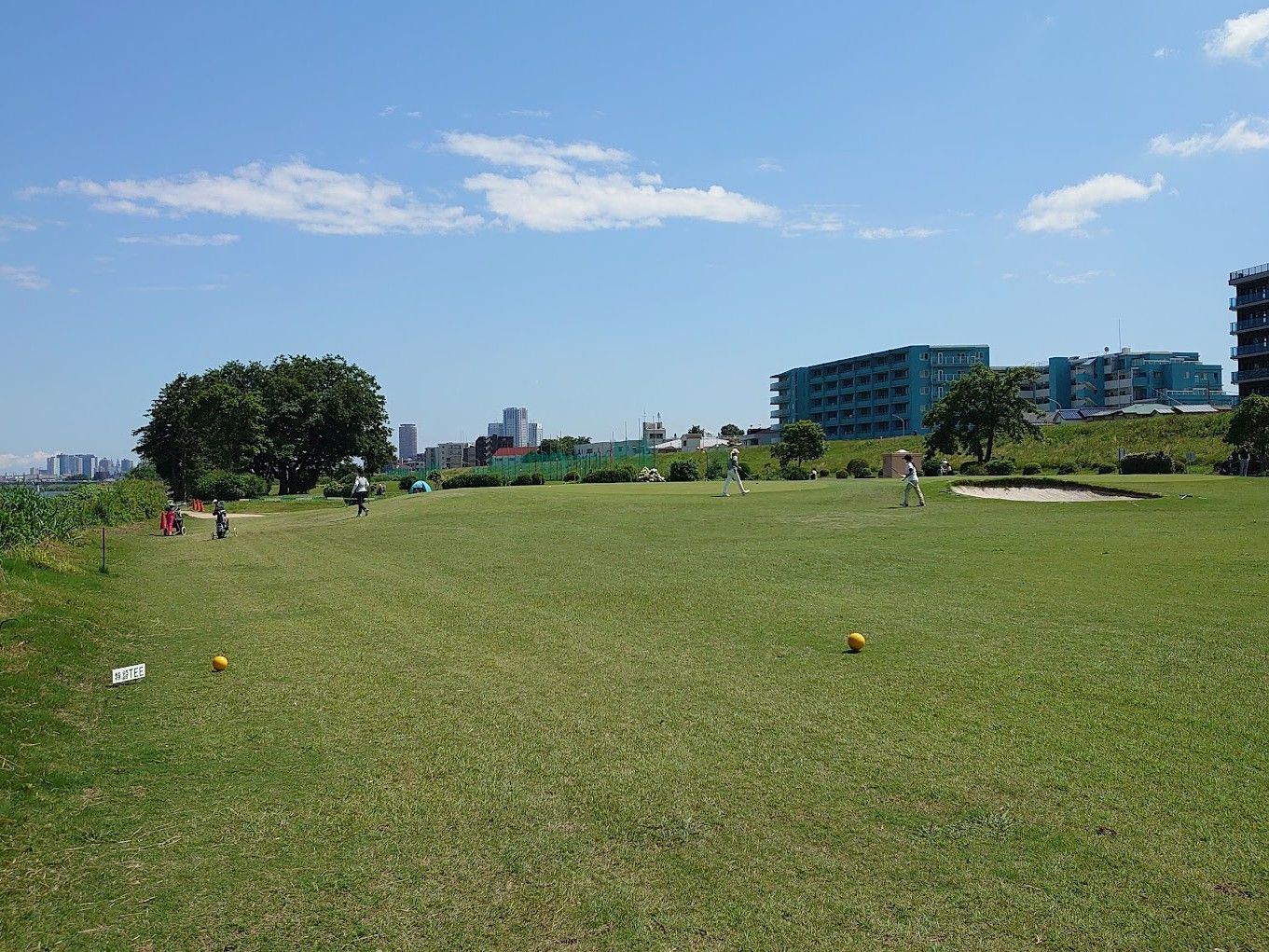 05.jpg