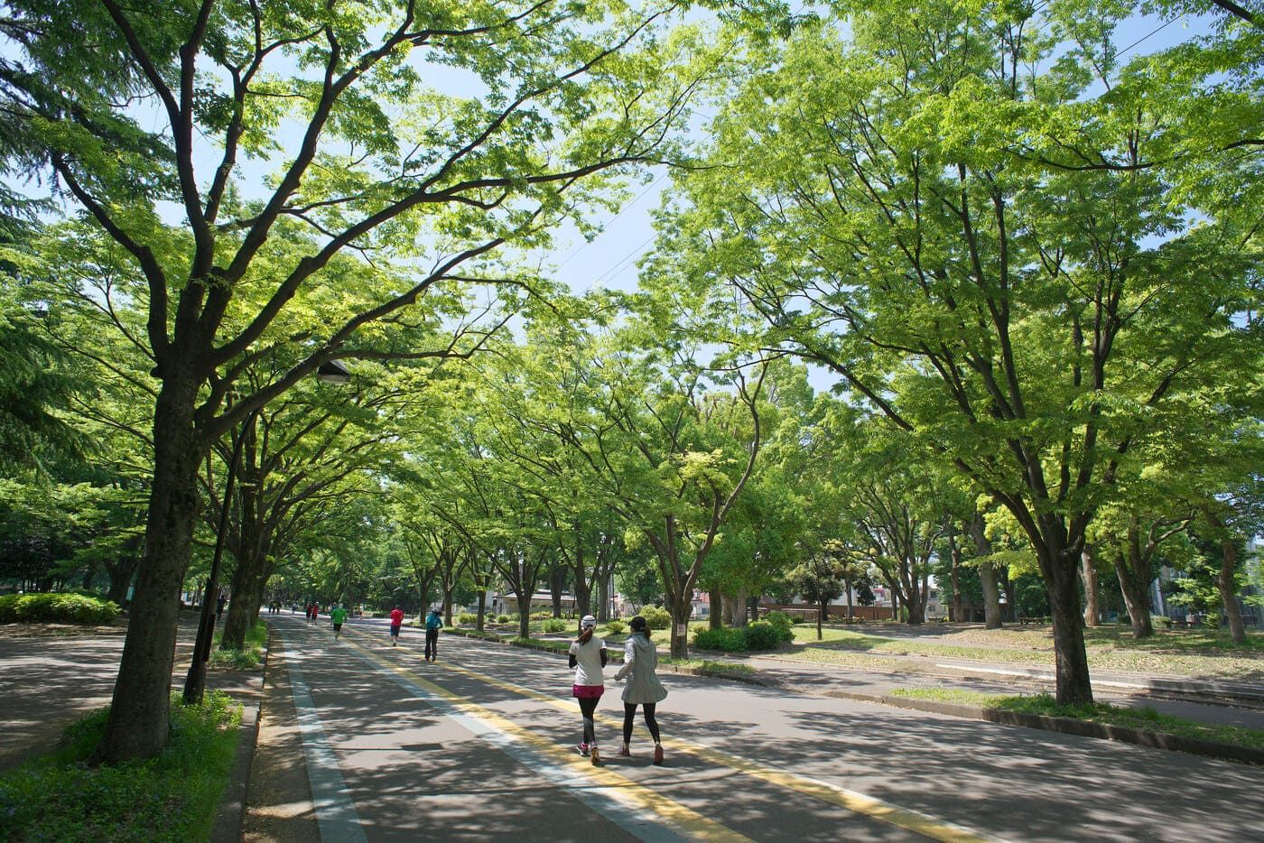 06.jpg