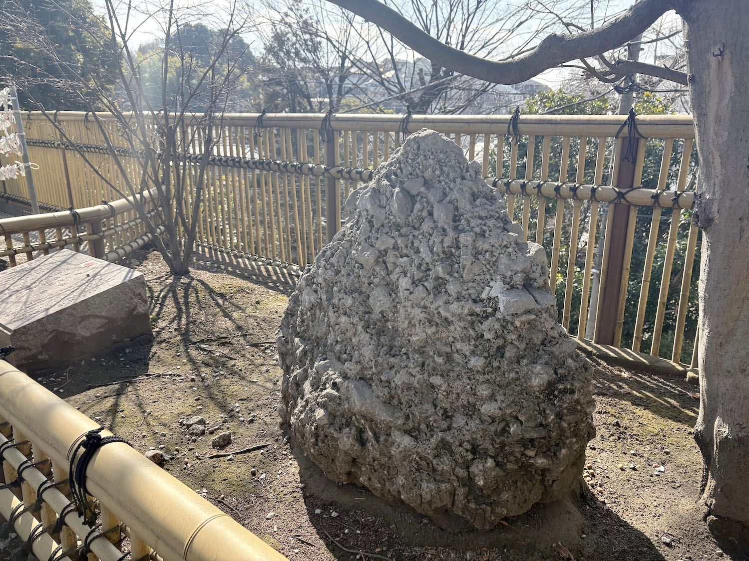 07.jpg