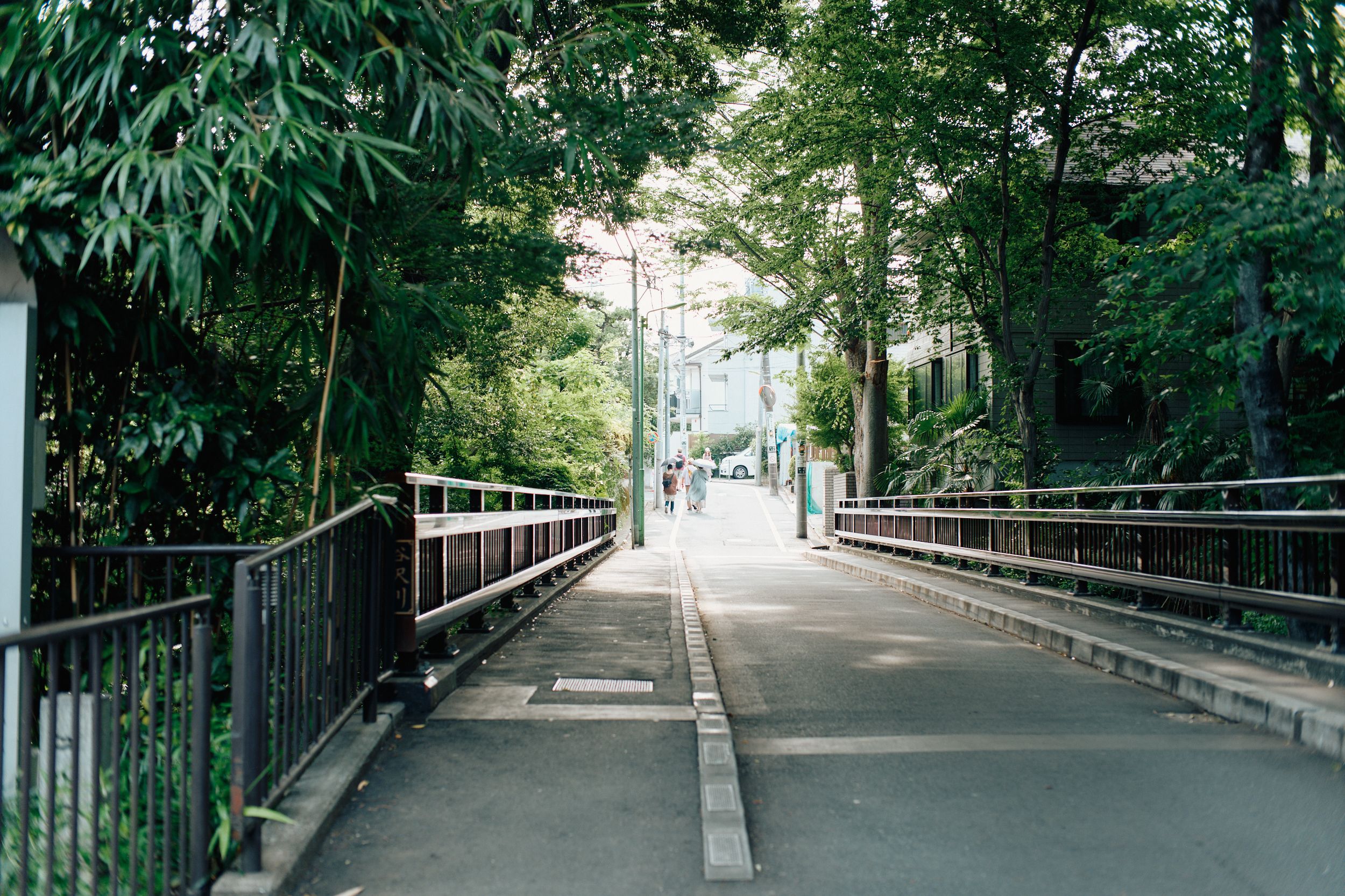 07.jpg