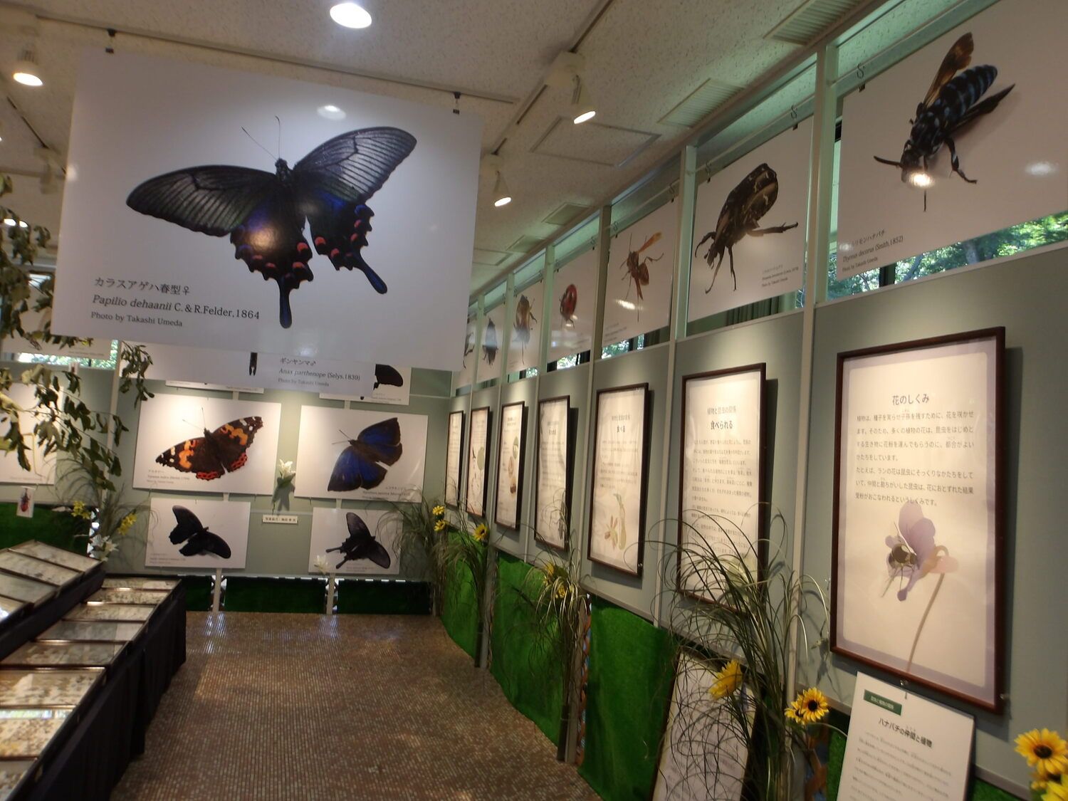 08.jpg