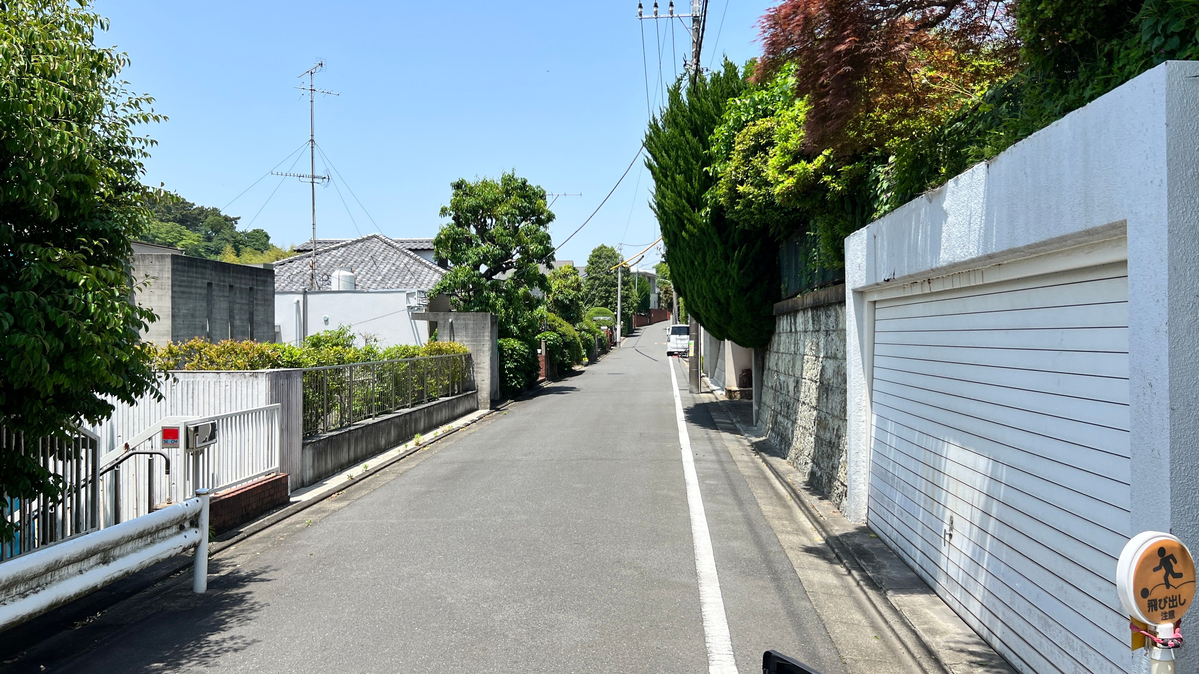 12_IMG_5641.JPG
