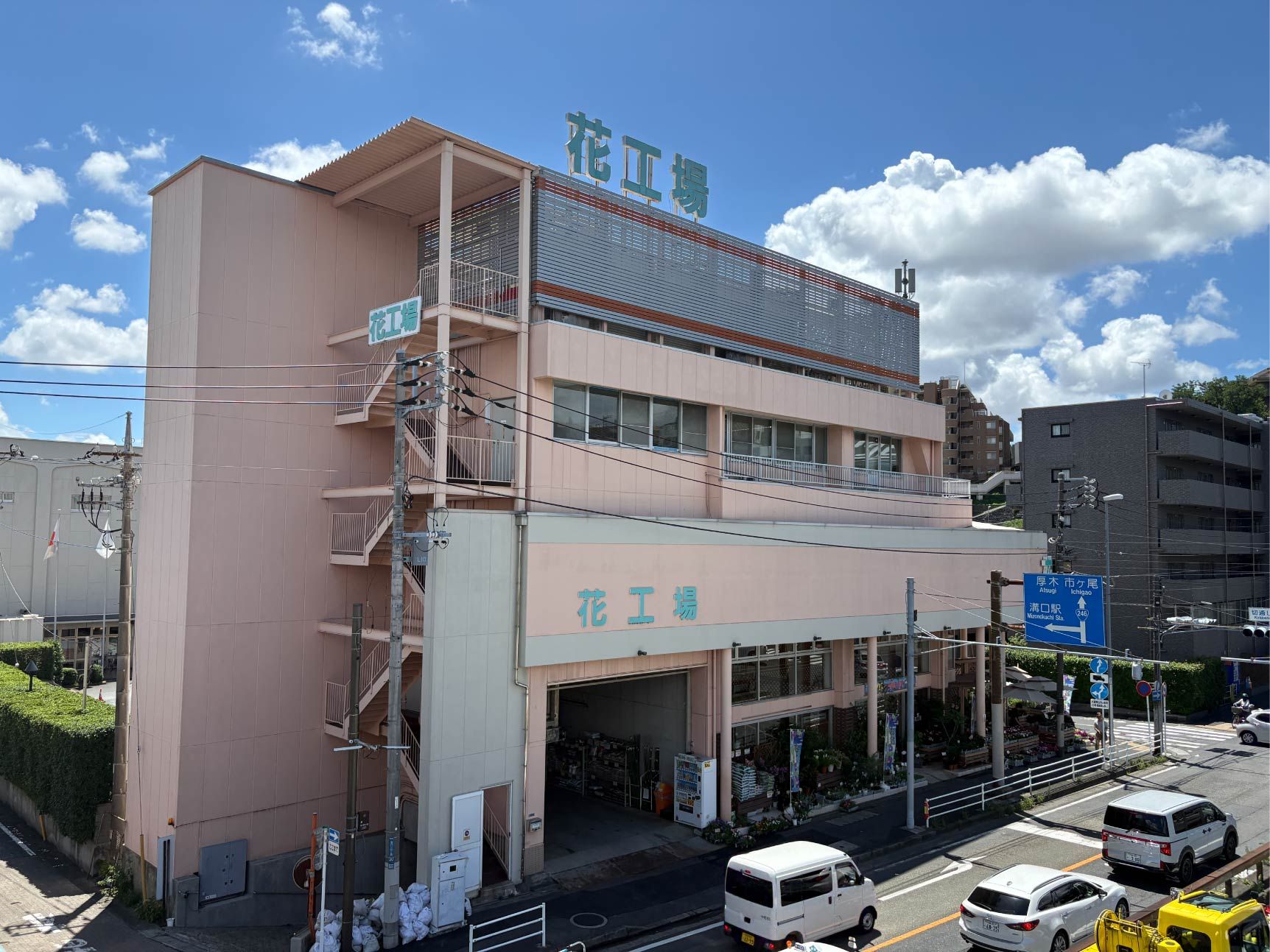 17.jpg