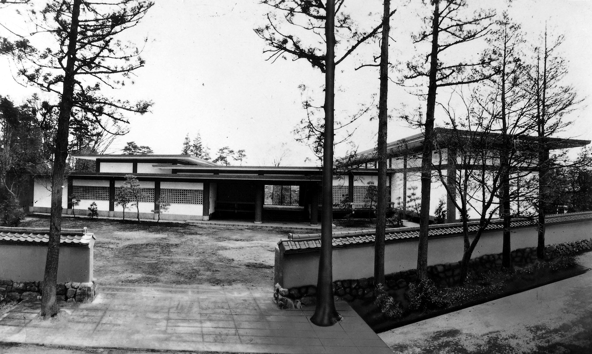 19688.jpg