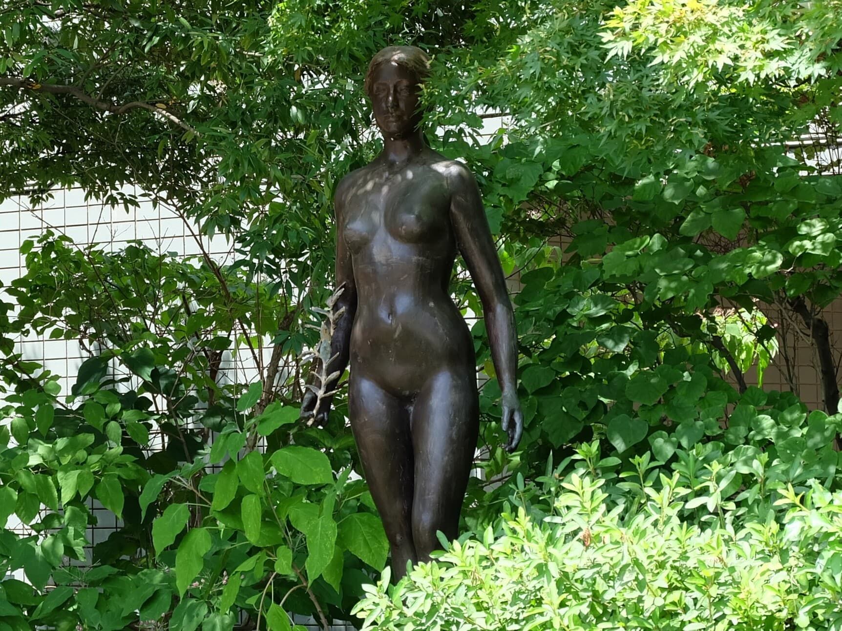 19.jpg