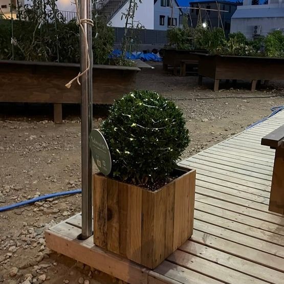 ボタニカルライト1 002.jpg