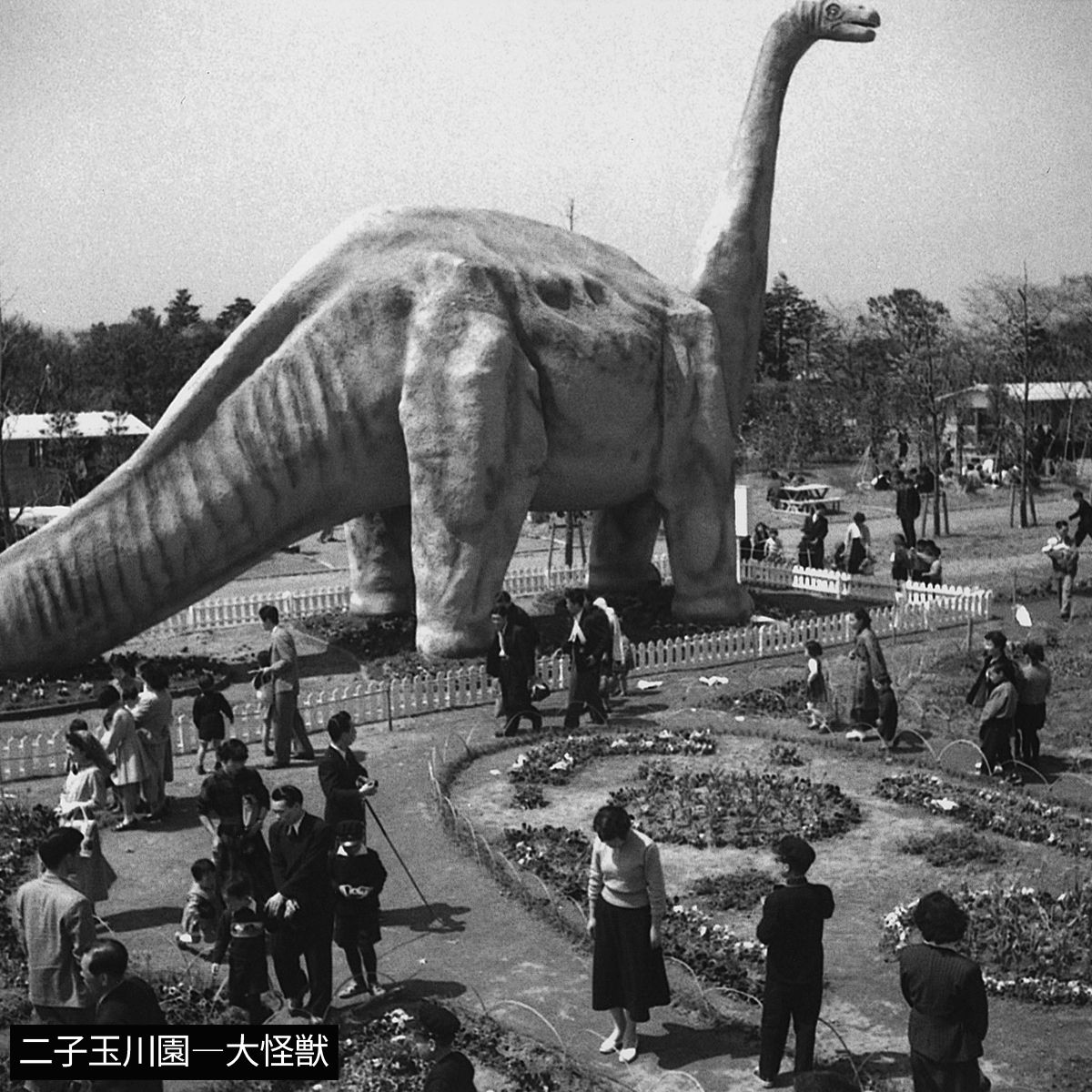 1955年04月 二子玉川園 大怪獣