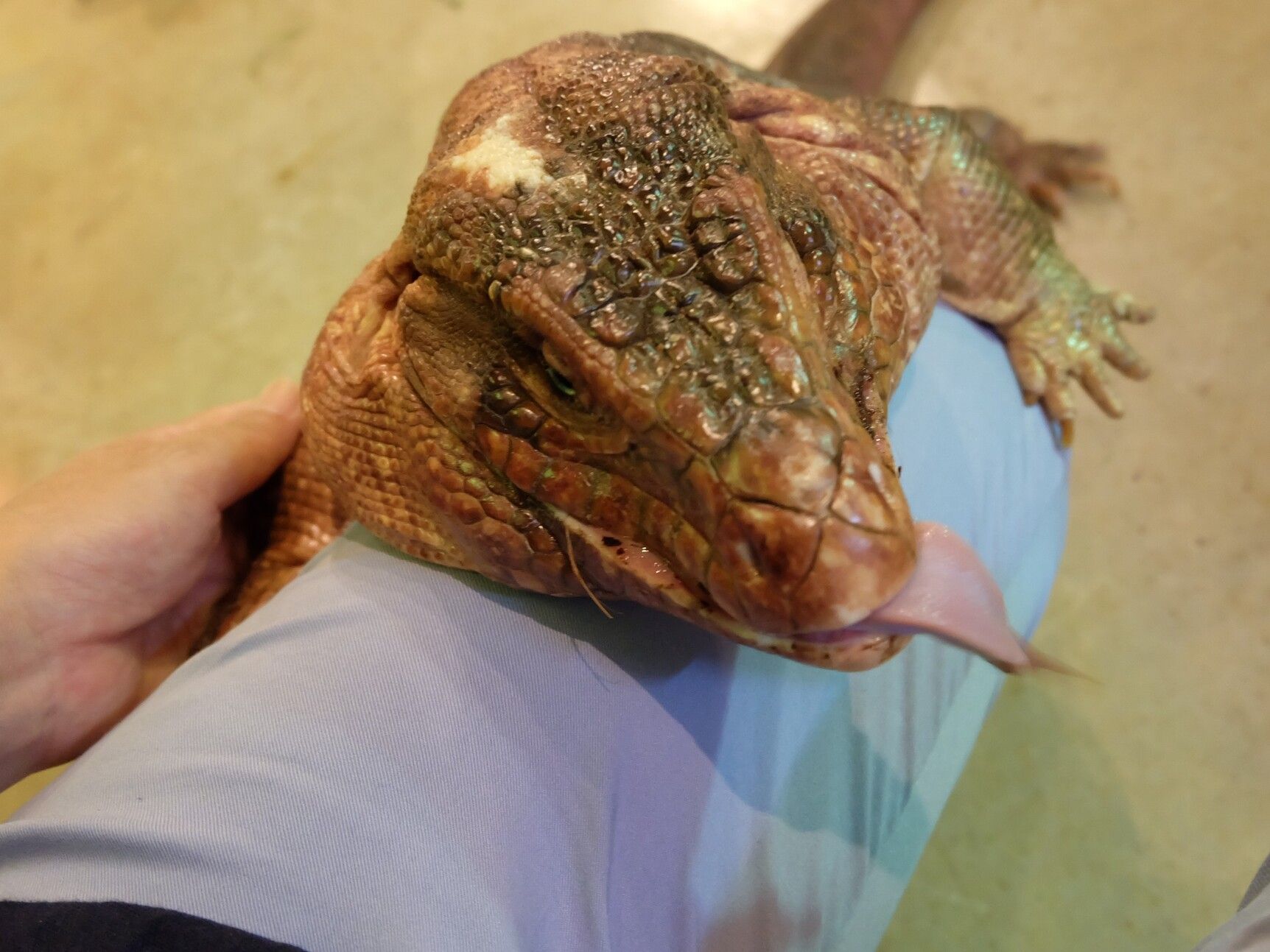 20.jpg