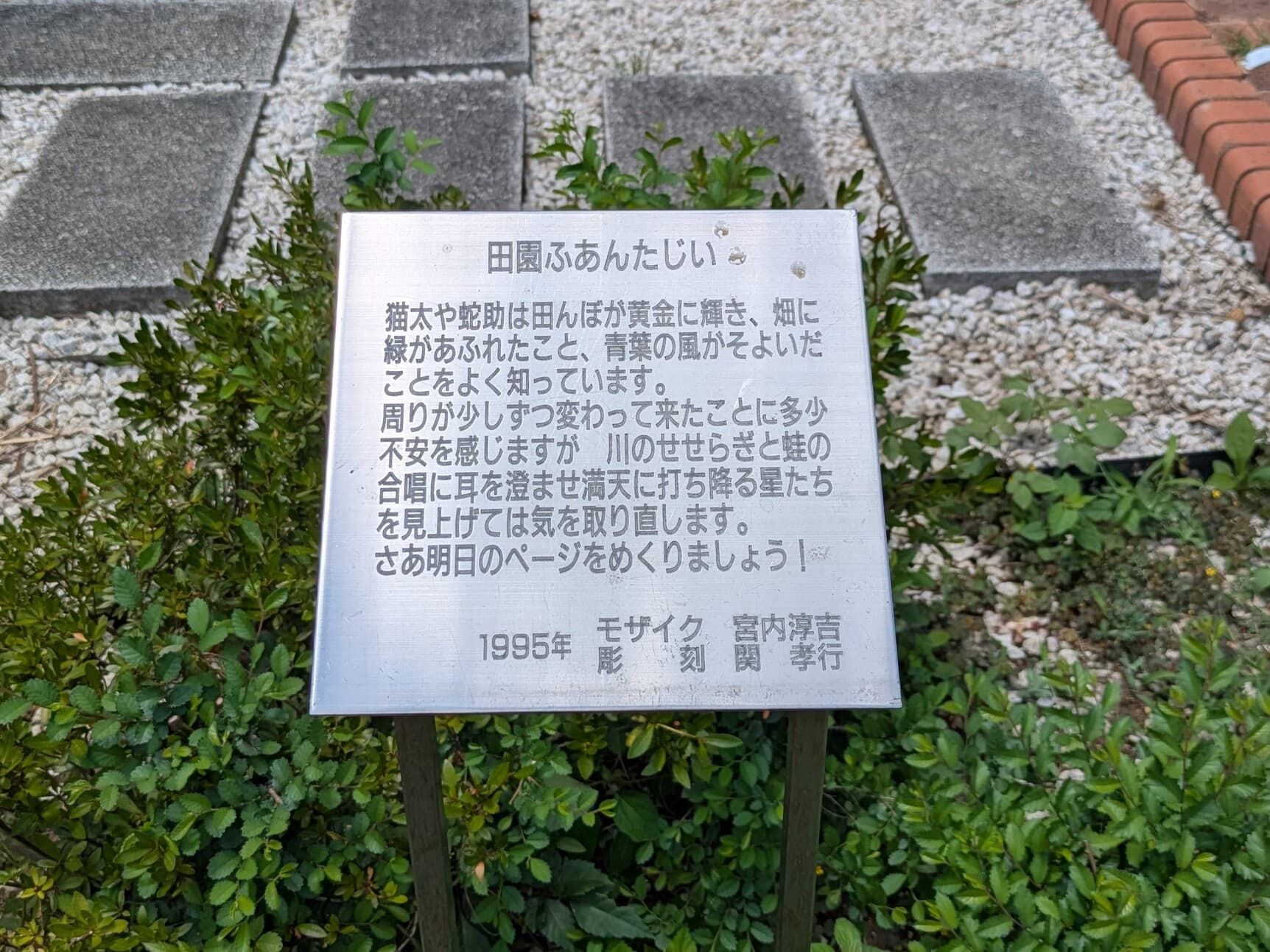22.jpg