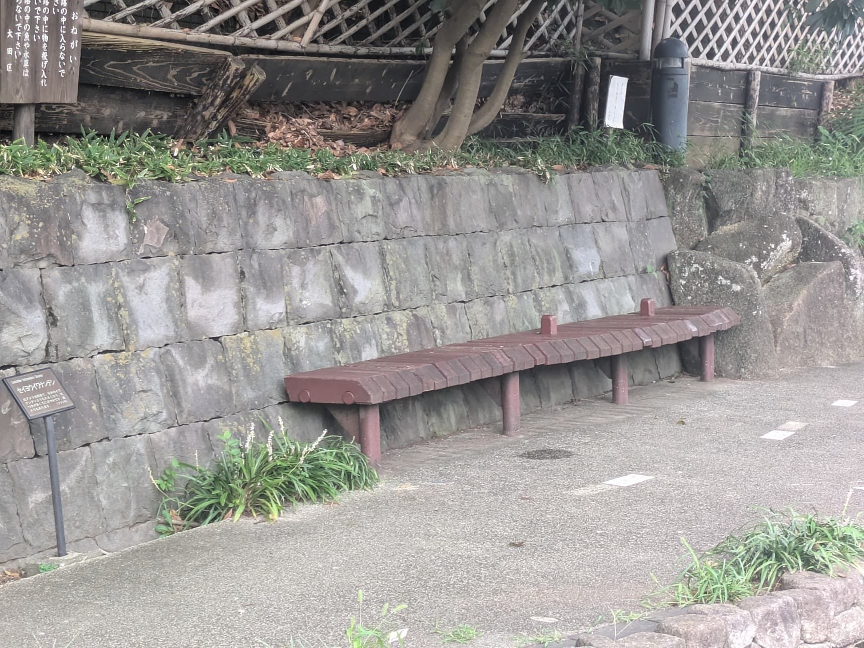 29.jpg