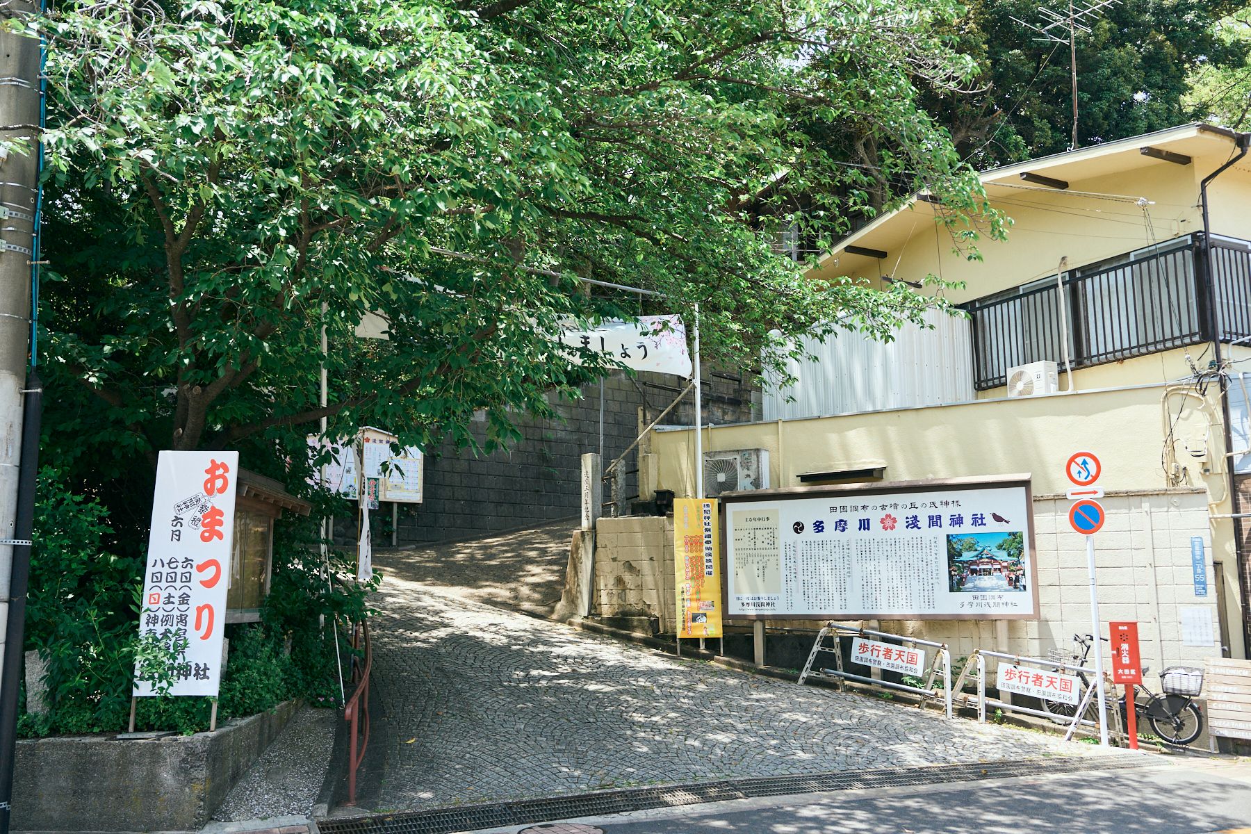 29-DSC09316.jpg