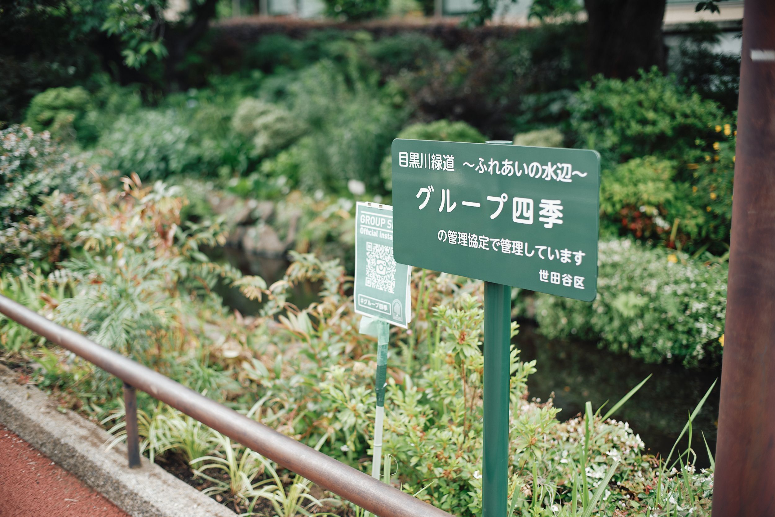 _DSF7983.jpg