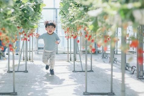 ICHIGO HOUSE.MITAKA.jpg