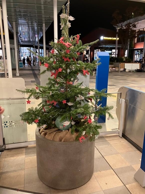 MicrosoftTeams-image 65.jpg