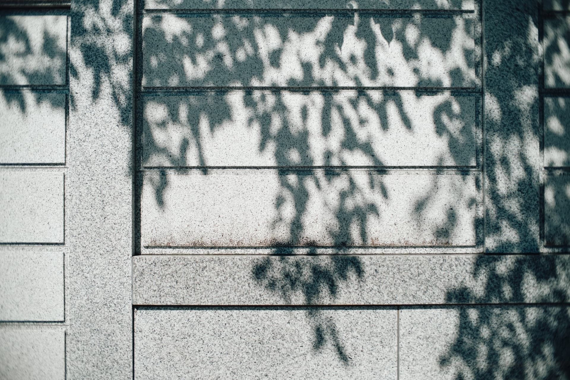 TK_00035.jpg