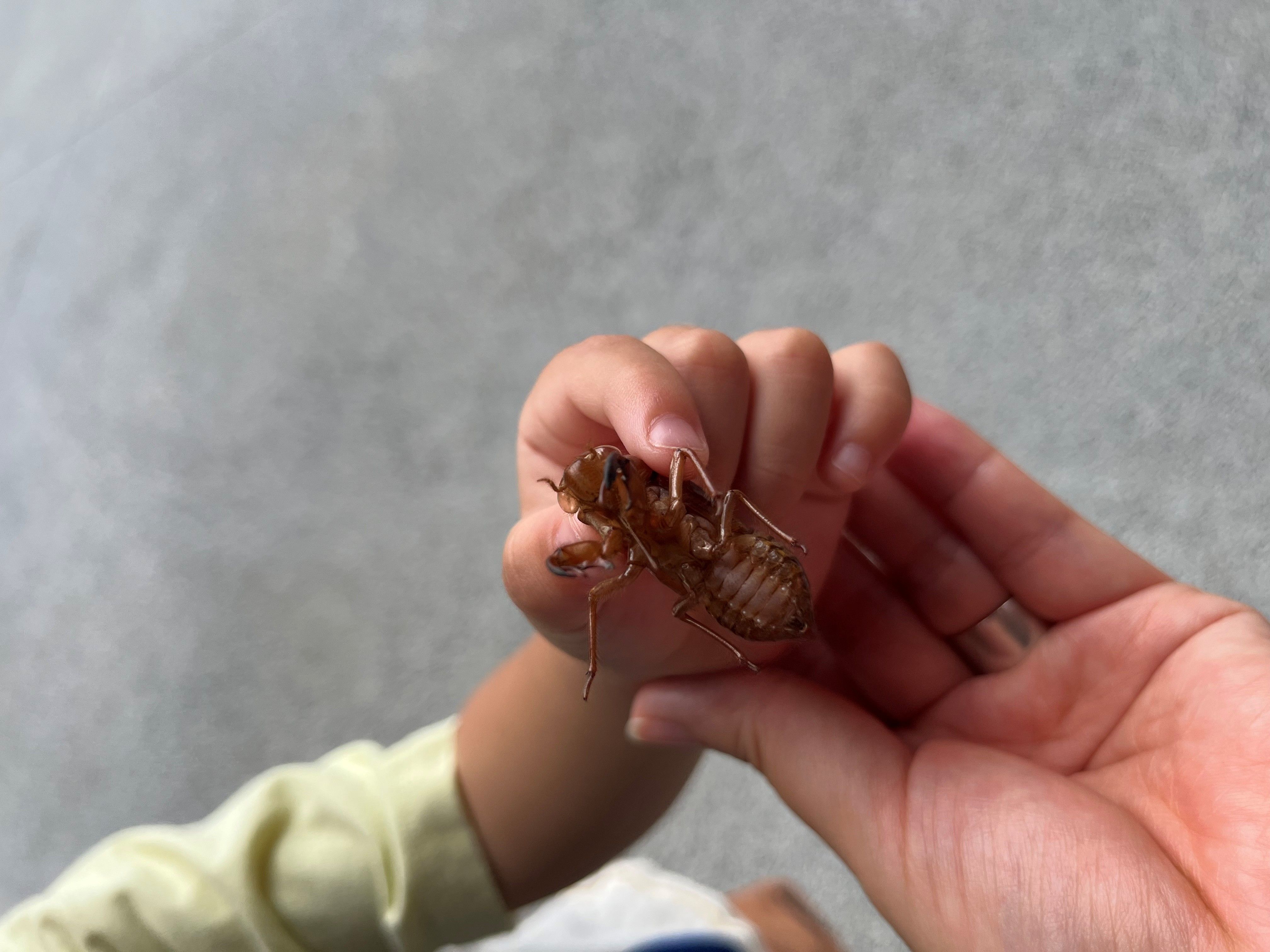 小泉様ご提供写真.jpg