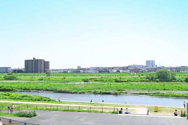 f653df88.jpg