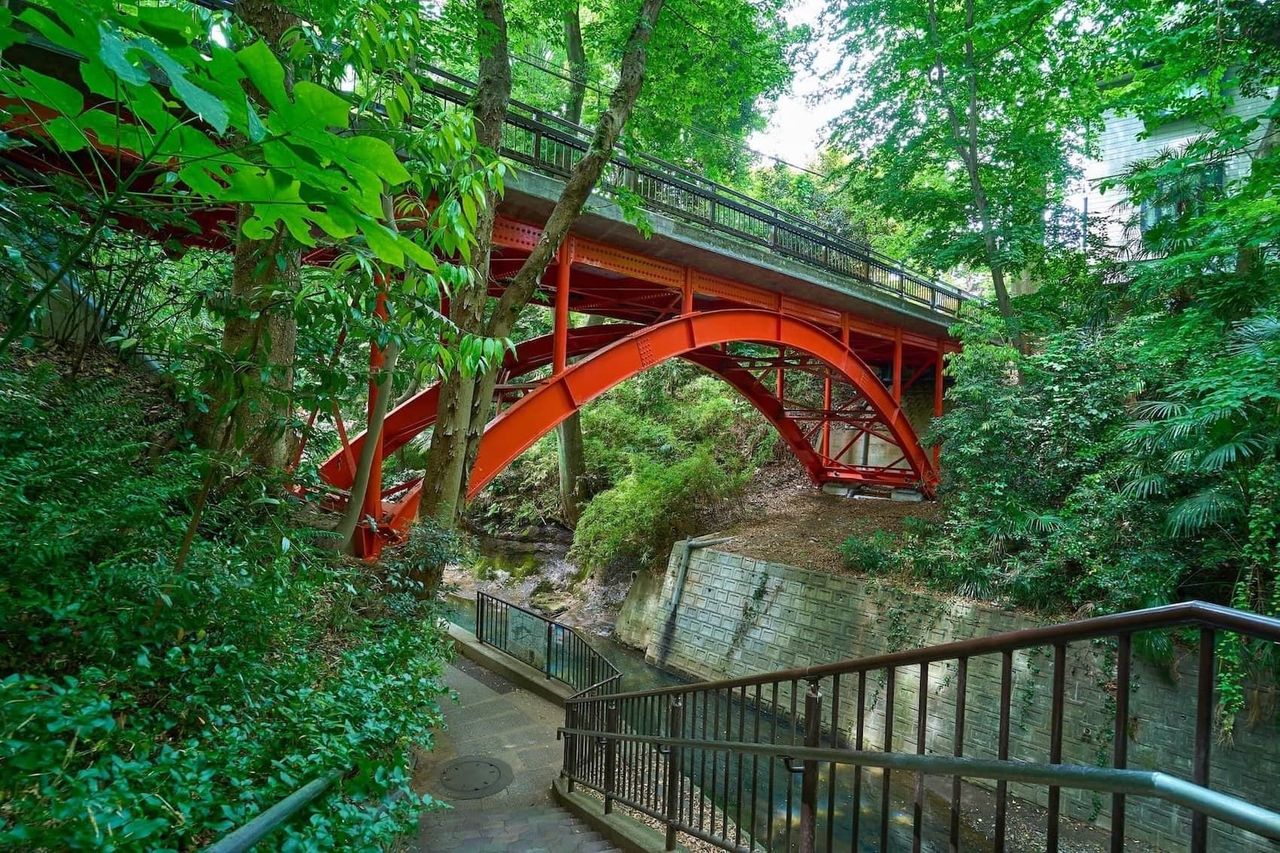 等々力 渓谷 公園