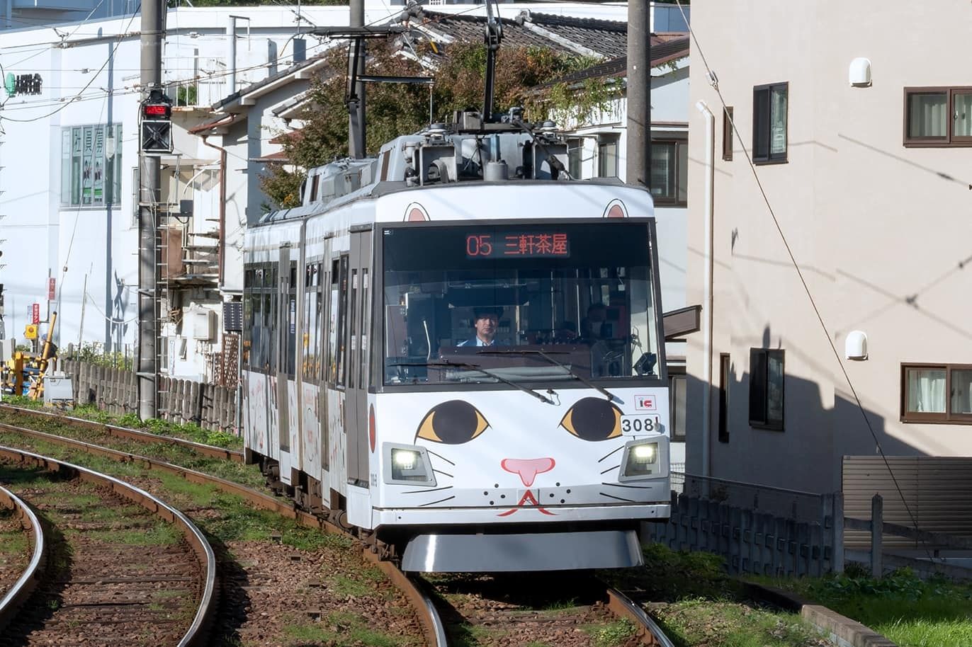 manekineko-top.jpg