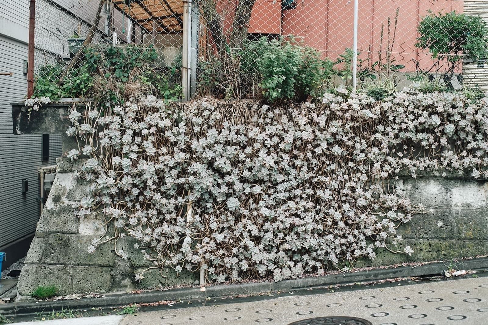 n_08_00abd6fd45.jpg