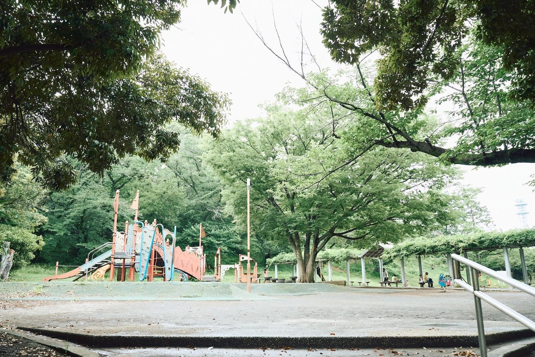 n_15_cd182f9afa.jpg