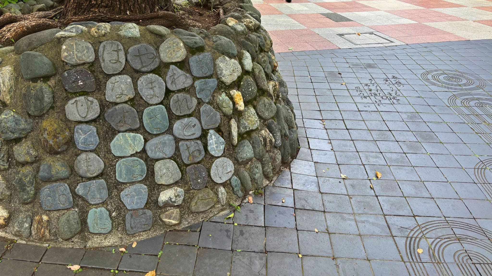 n-25_a848e3370a.jpg