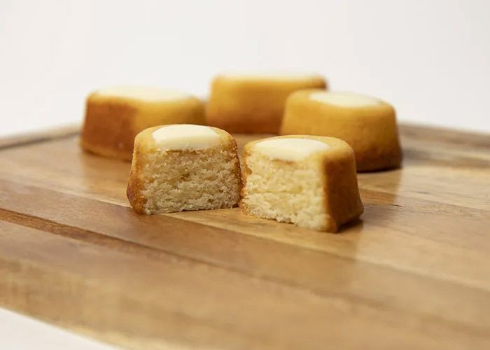 nowoncheese-cheesecakenow-05.jpg