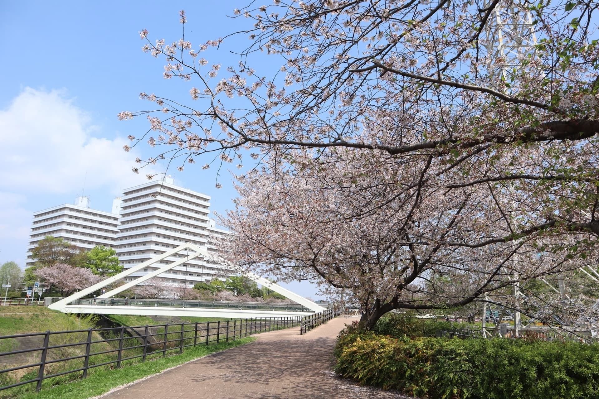 shinyokohama koen.jpg